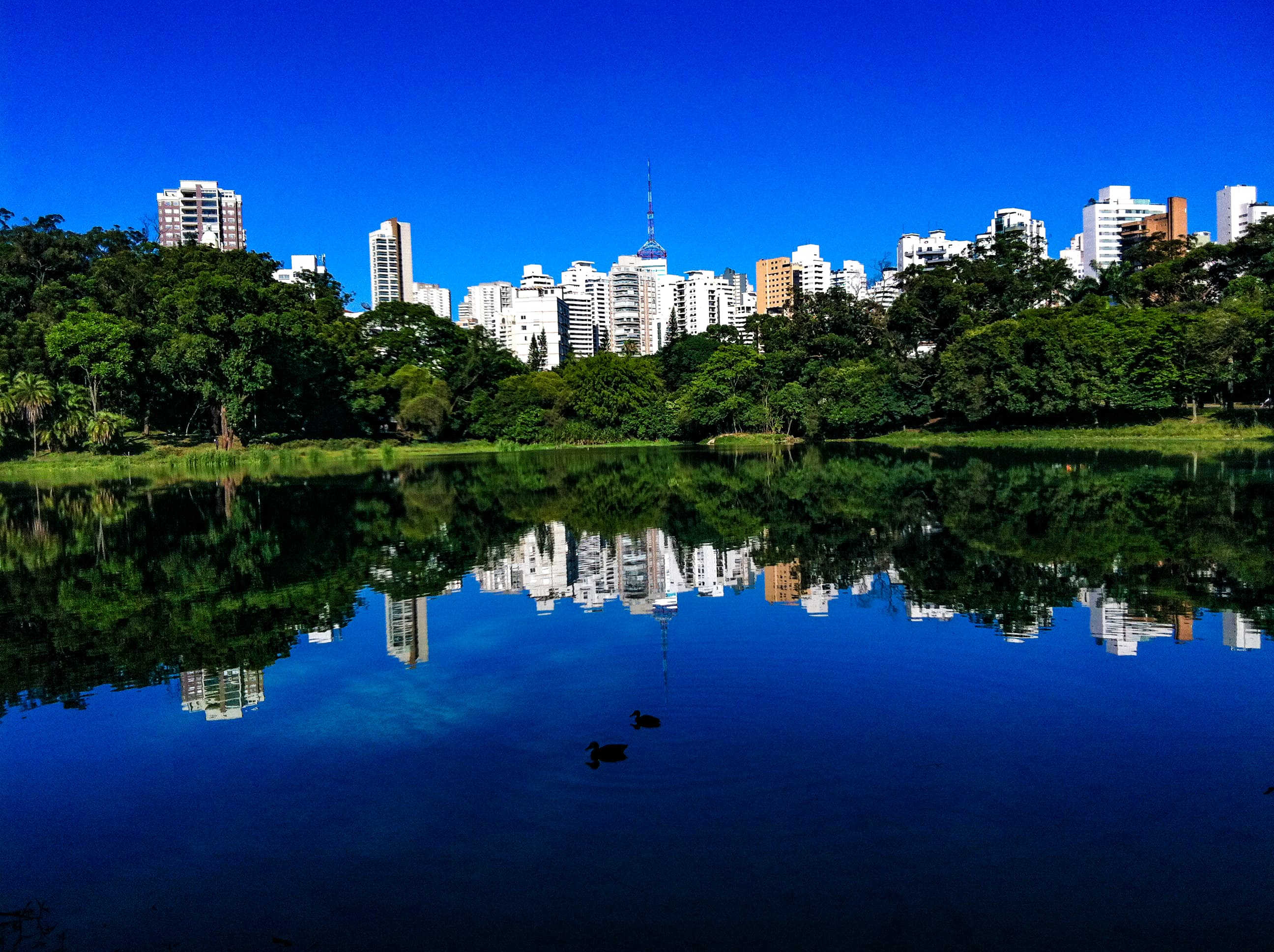 Vista do bairro Aclimação