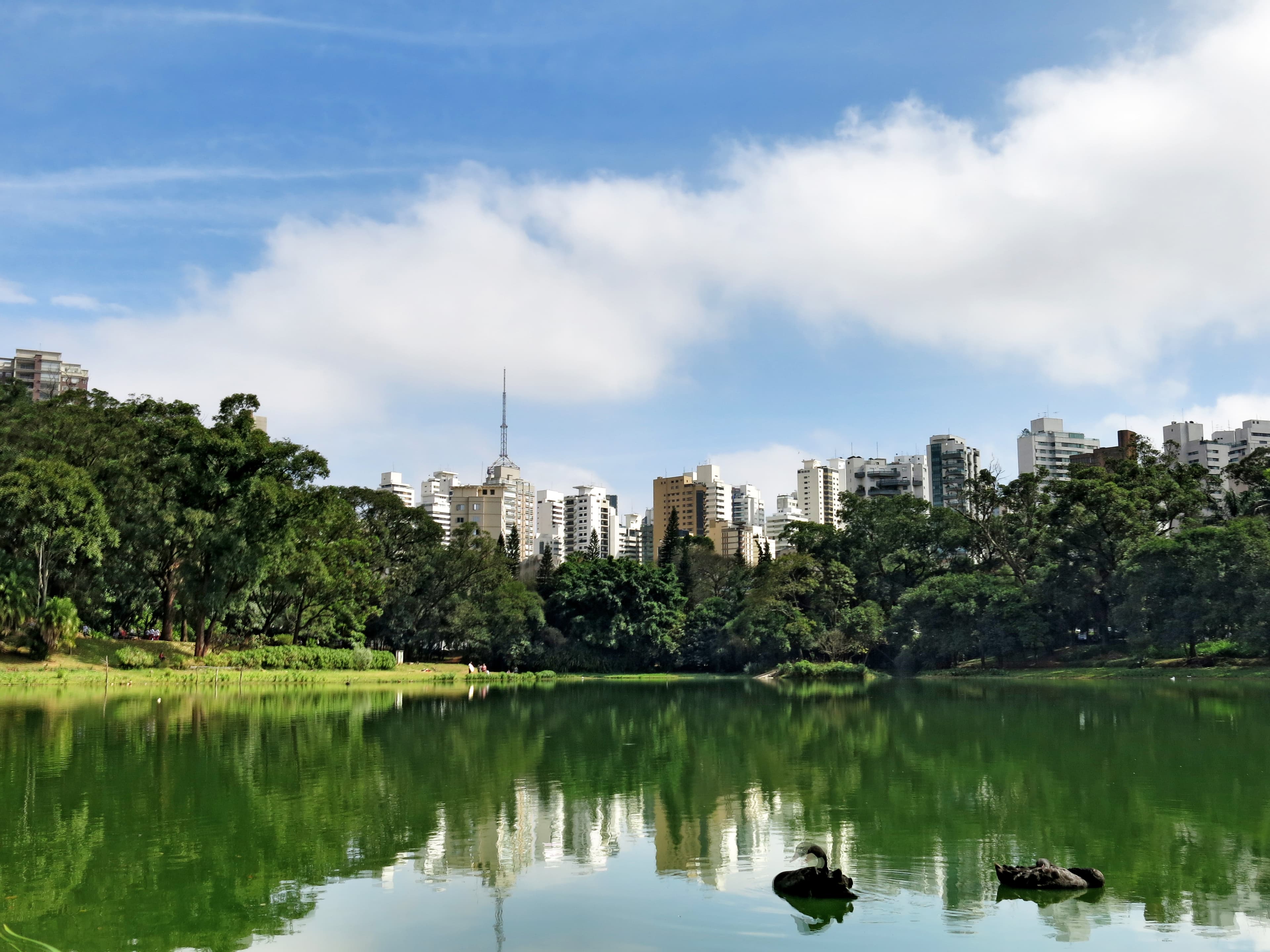 Parque da Aclimação