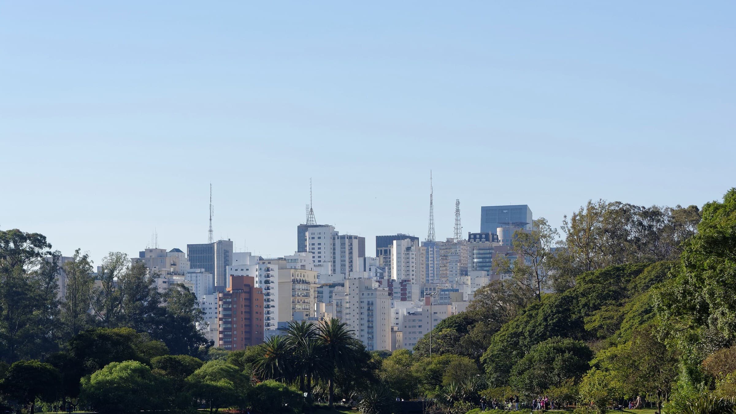 Área verde do Ibirapuera e skyline residencial próximo a Moema Pássaros