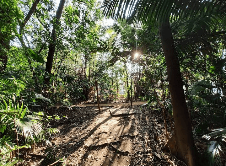 Bosque do Brooklin — Brooklin